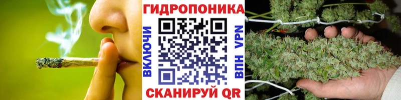 Марихуана MAZAR  Купить  Воркута 
